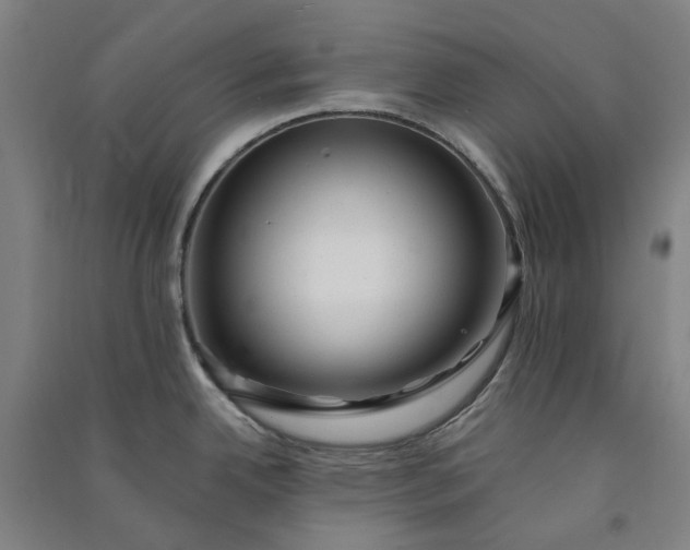 X0000091091342200708201449