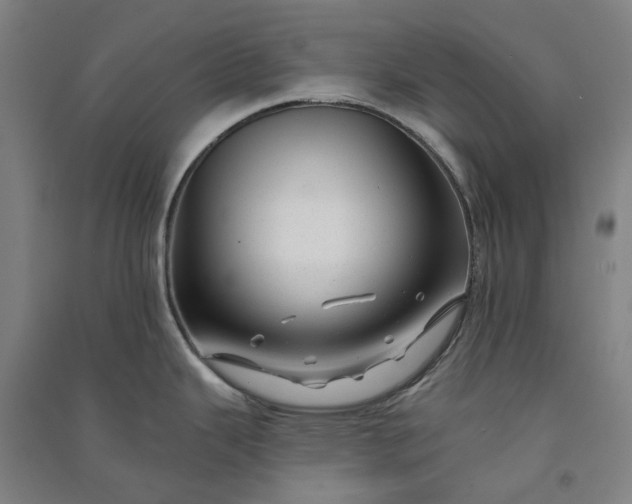 X0000091091343200708201449