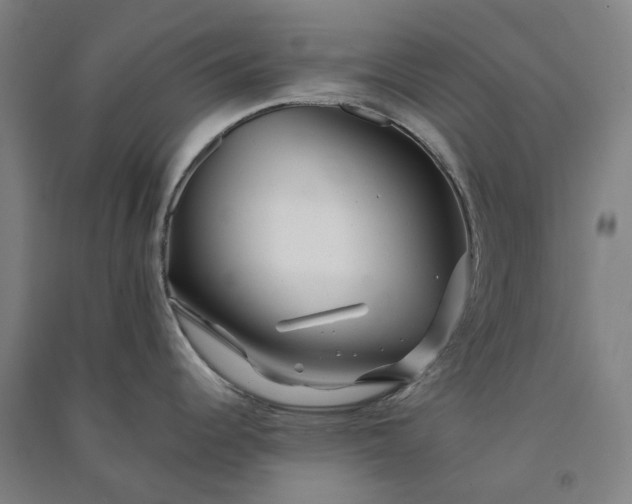 X0000091091344200708201449