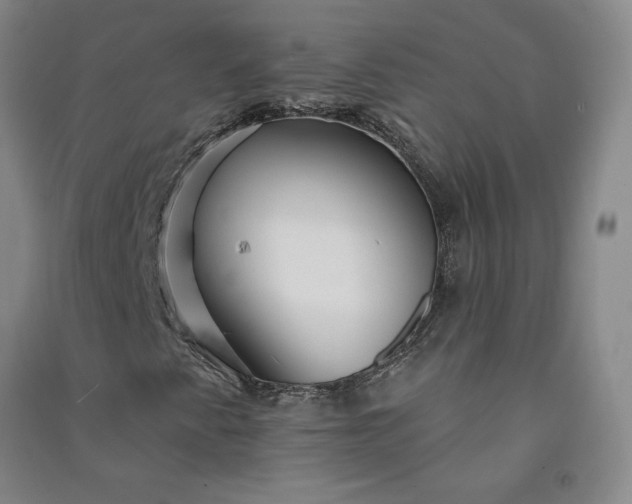 X0000091091345200708201448