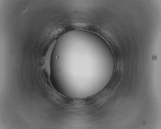 X0000091091346200708201448