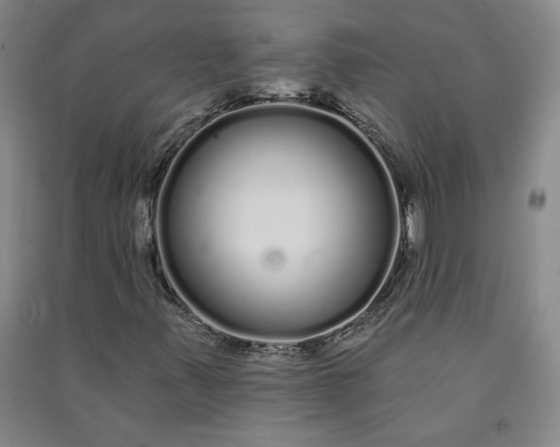 X0000091091347200708201448