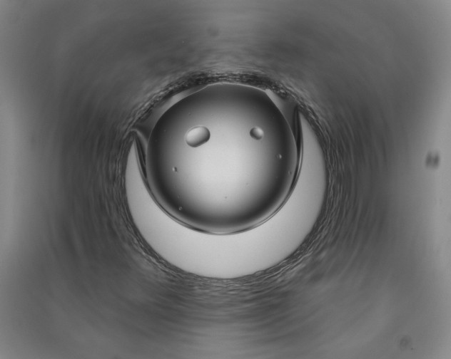 X0000091091348200708201448