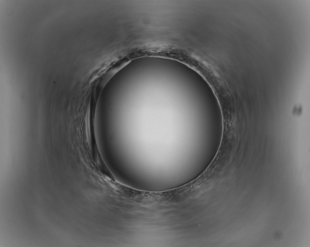 X0000091091349200708201448