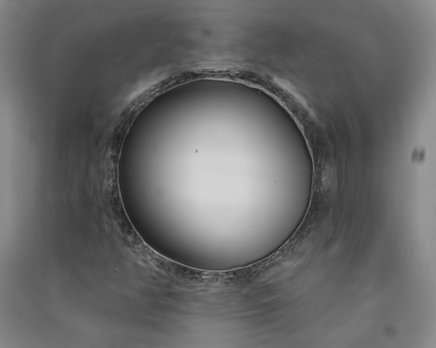 X0000091091350200708201448