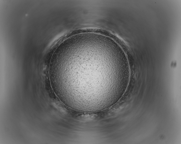 X0000091091351200708201448