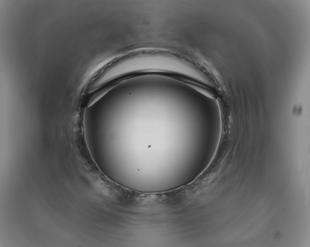 X0000091091352200708201448