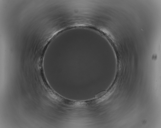 X0000091091353200708201448