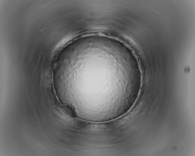 X0000091091354200708201448