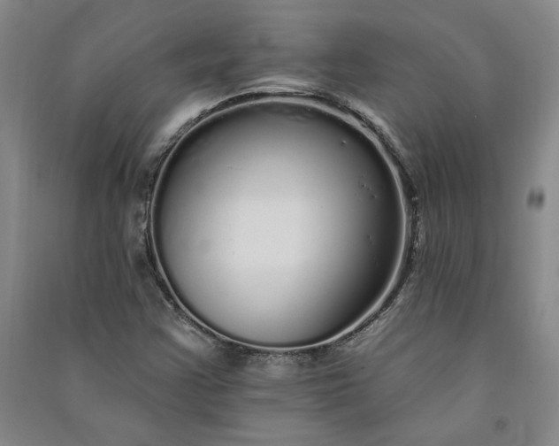 X0000091091355200708201448
