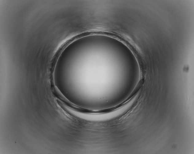 X0000091091356200708201448
