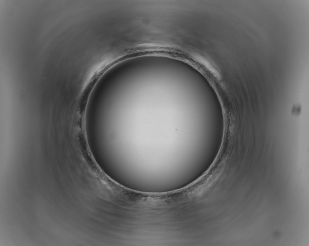 X0000091091357200708201448