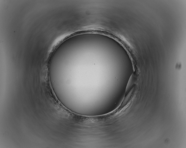 X0000091091358200708201448