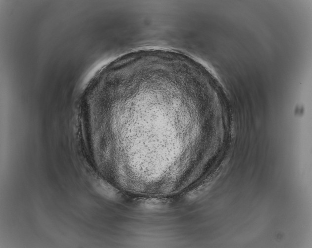 X0000091091359200708201448