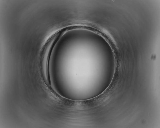 X0000091091360200708201448