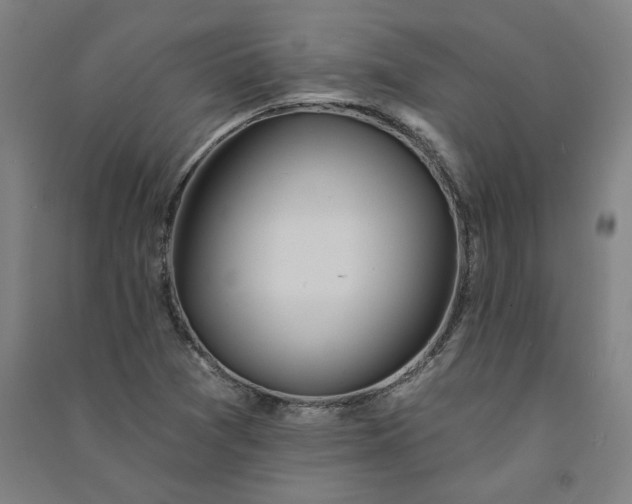 X0000091091361200708201448