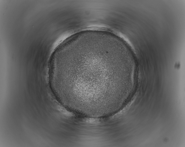 X0000091091362200708201448