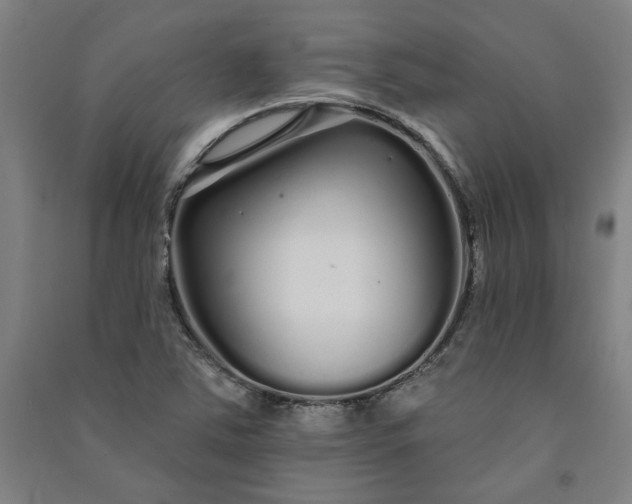 X0000091091363200708201448