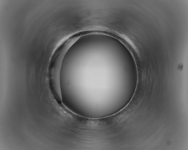 X0000091091364200708201448