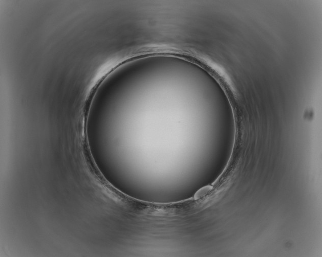 X0000091091365200708201448