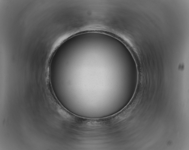 X0000091091366200708201448