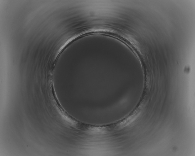 X0000091091369200708201448