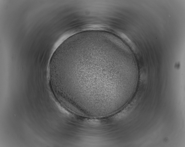 X0000091091370200708201448