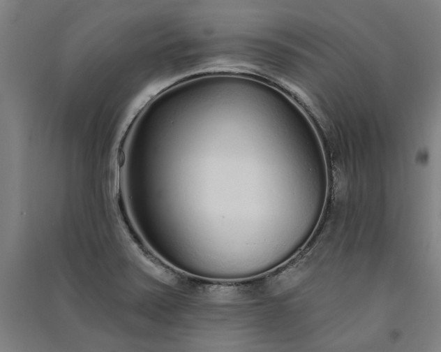 X0000091091371200708201448