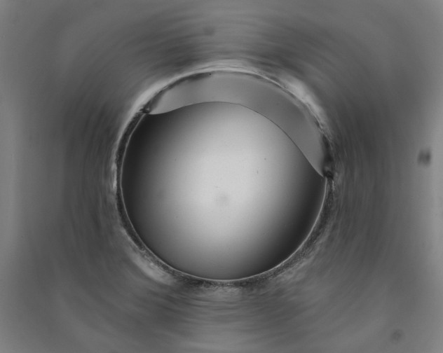X0000091091372200708201448