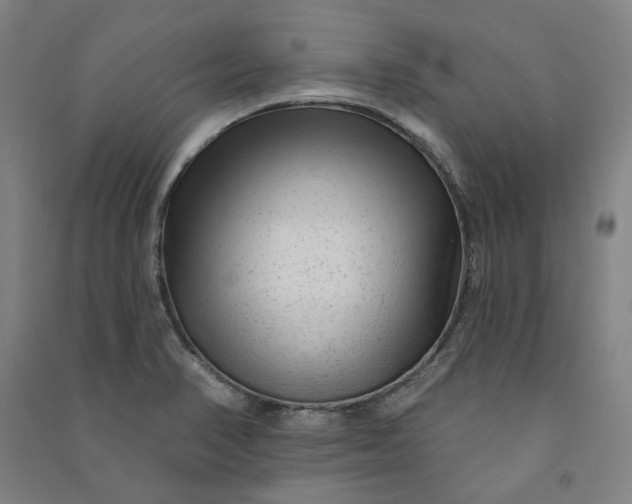 X0000091091374200708201447