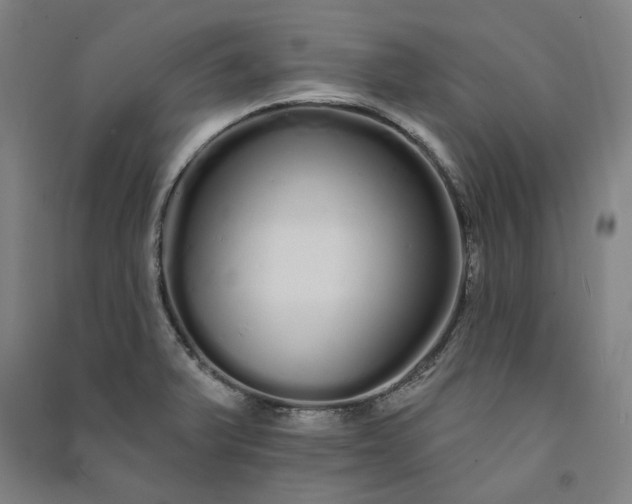 X0000091091375200708201447