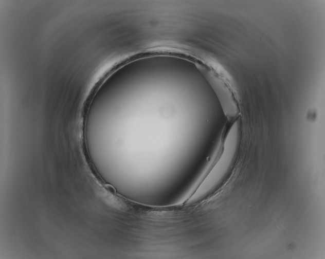 X0000091091376200708201447