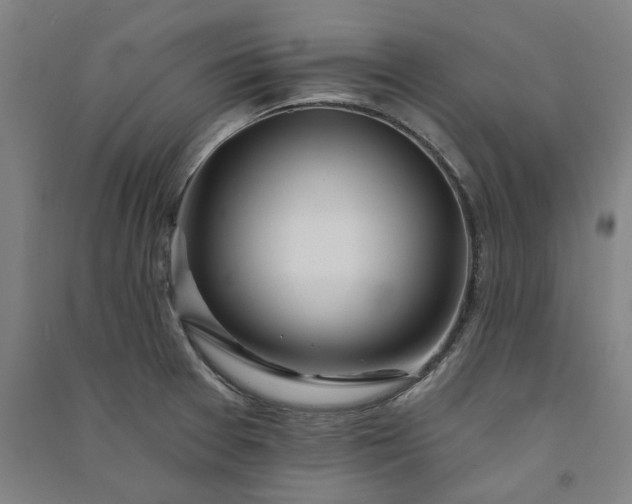 X0000091091377200708201447