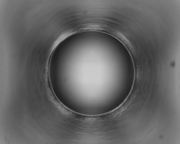 X0000091091378200708201447