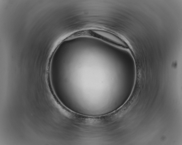 X0000091091379200708201447
