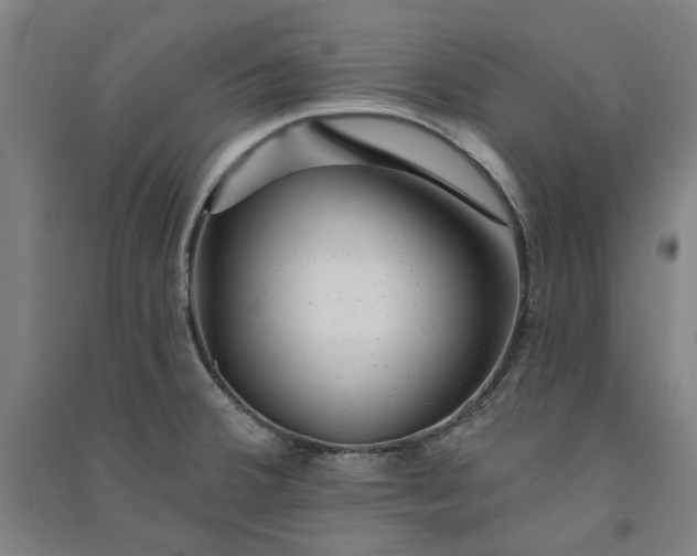 X0000091091380200708201447