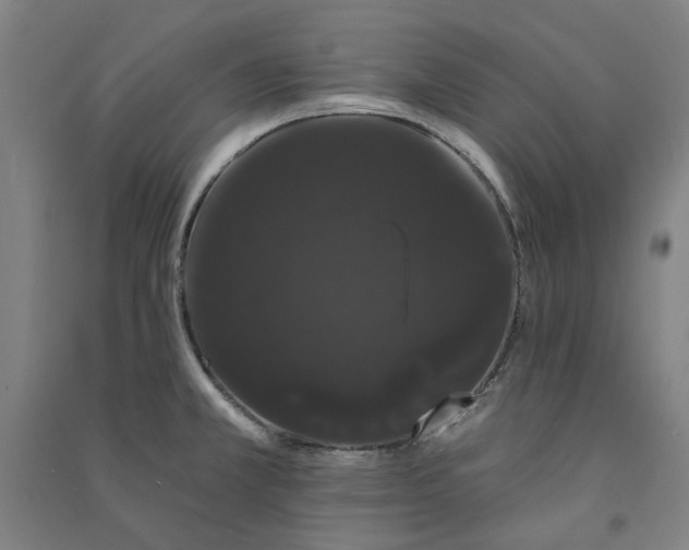 X0000091091381200708201447