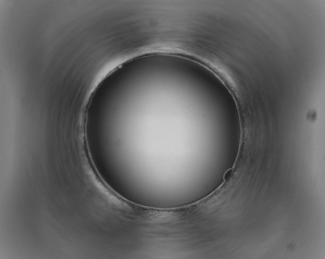 X0000091091382200708201447