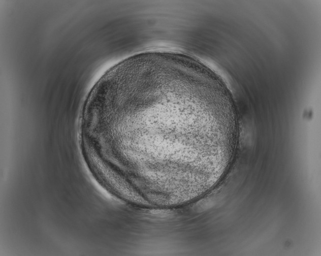 X0000091091383200708201447