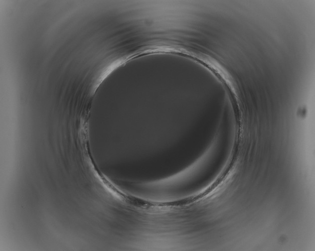 X0000091091385200708201447