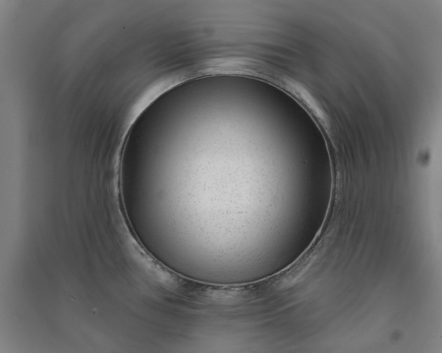 X0000091091386200708201447