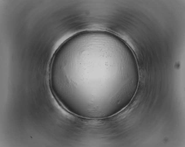 X0000091091387200708201447