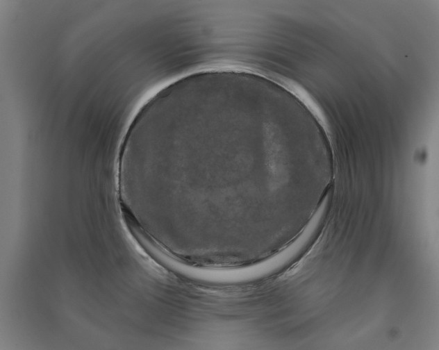X0000091091388200708201447