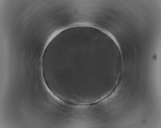 X0000091091389200708201447