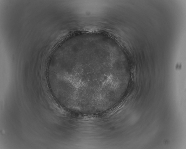 X0000091091393200708201447