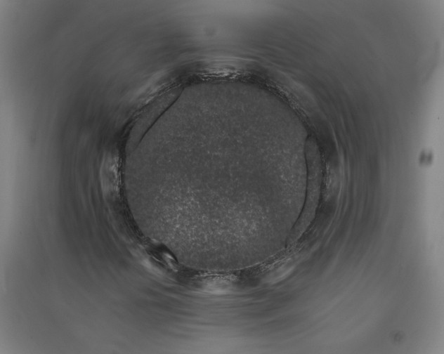 X0000091091394200708201447
