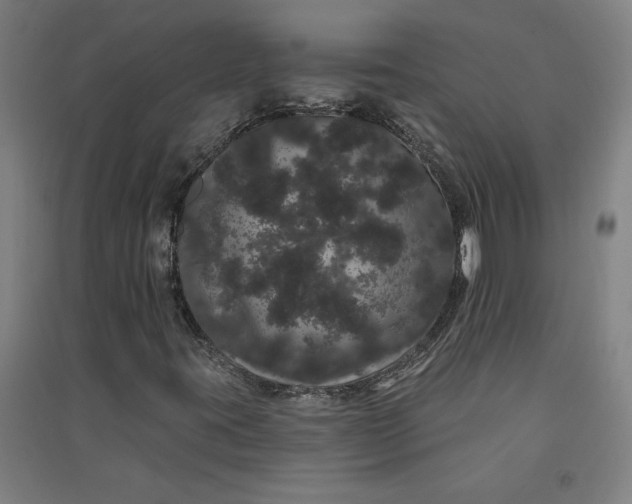 X0000091091395200708201447