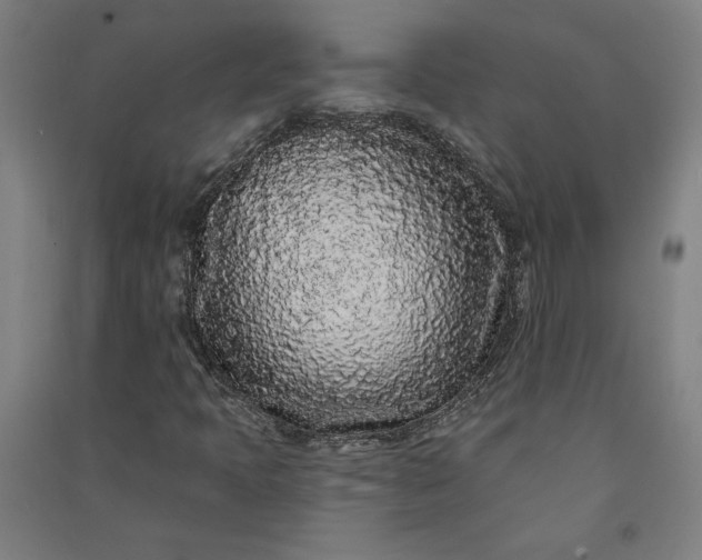 X0000091091397200708201447