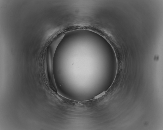 X0000091091398200708201447