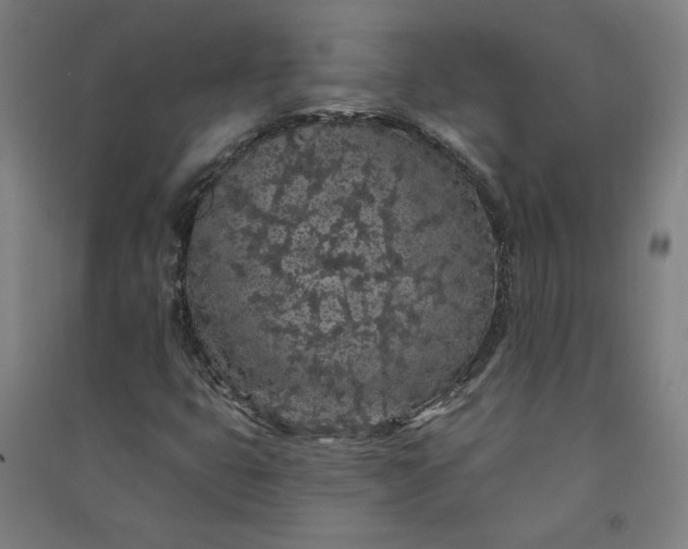 X0000091091399200708201447